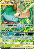 Venusaur & Snivy GX