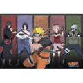 Naruto - Poster Maxi 91.5x61 - Allies