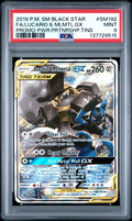 2019 Pokemon Black Star Promo - Lucario & Melmetal GX #SM192 - PSA 9 137729515
