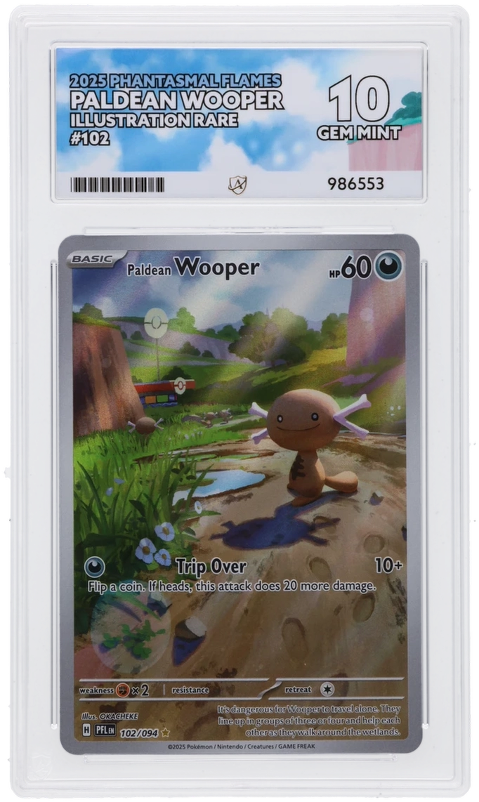 2025 Pokemon Phantasmal Flames - Paldean Wooper #102 - Ace 10 986553