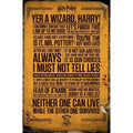 Harry Potter - Poster Maxi 91.5x61 - Quotes